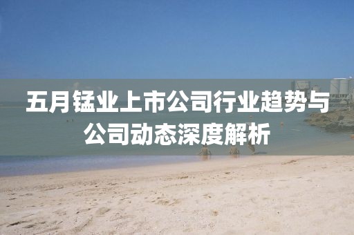 五月锰业上市公司行业趋势与公司动态深度解析