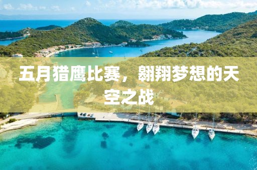 五月猎鹰比赛，翱翔梦想的天空之战