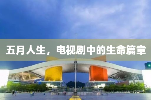 五月人生，电视剧中的生命篇章