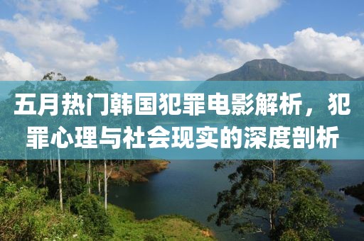 五月热门韩国犯罪电影解析，犯罪心理与社会现实的深度剖析