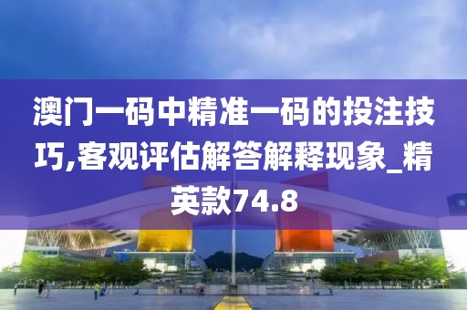 澳门一码中精准一码的投注技巧,客观评估解答解释现象_精英款74.8
