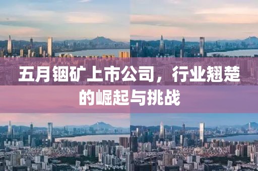 五月铟矿上市公司，行业翘楚的崛起与挑战
