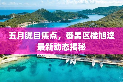 五月瞩目焦点，番禺区楼旭逵最新动态揭秘