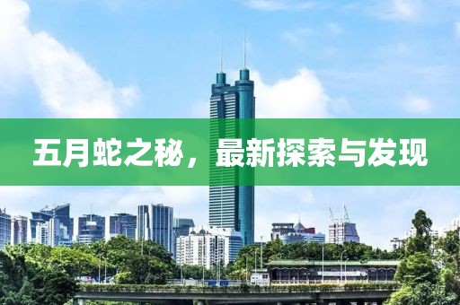 五月蛇之秘，最新探索与发现