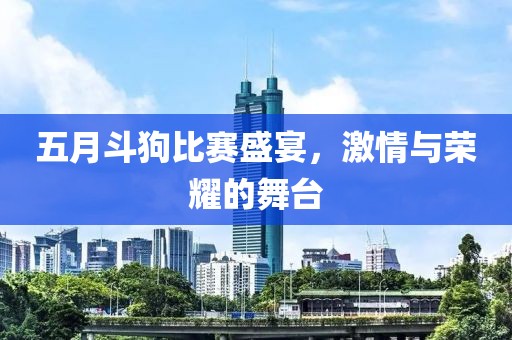 五月斗狗比赛盛宴，激情与荣耀的舞台