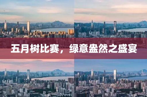 五月树比赛，绿意盎然之盛宴
