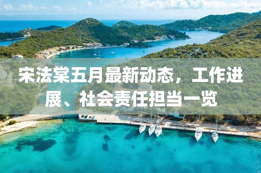 宋法棠五月最新动态，工作进展、社会责任担当一览