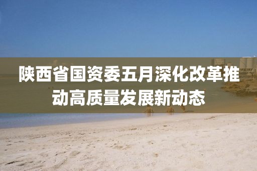 陕西省国资委五月深化改革推动高质量发展新动态