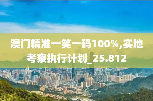 澳门精准一笑一码100%,实地考察执行计划_25.812