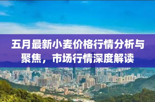 五月最新小麦价格行情分析与聚焦，市场行情深度解读