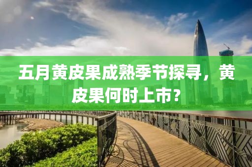 五月黄皮果成熟季节探寻，黄皮果何时上市？