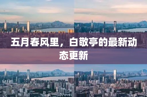五月春风里，白敬亭的最新动态更新