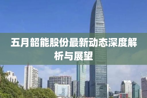 五月韶能股份最新动态深度解析与展望