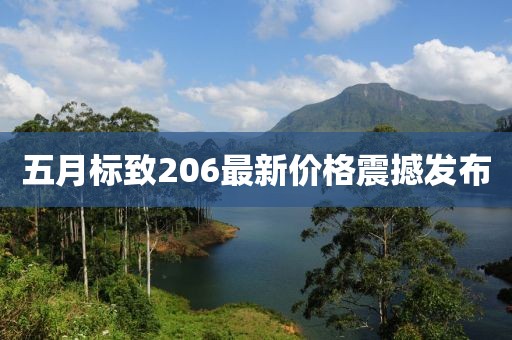 五月标致206最新价格震撼发布