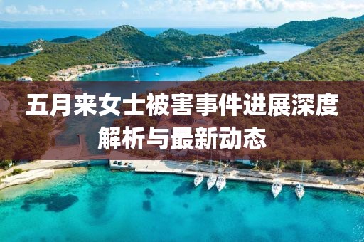 五月来女士被害事件进展深度解析与最新动态