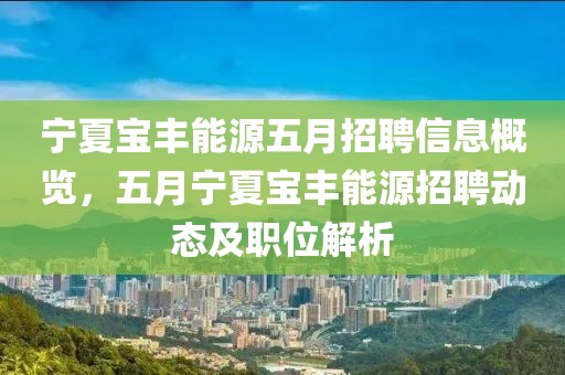 宁夏宝丰能源五月招聘信息概览，五月宁夏宝丰能源招聘动态及职位解析