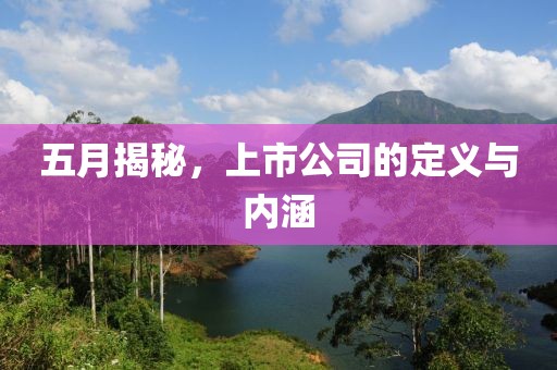 五月揭秘，上市公司的定义与内涵