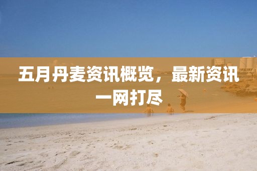 五月丹麦资讯概览，最新资讯一网打尽