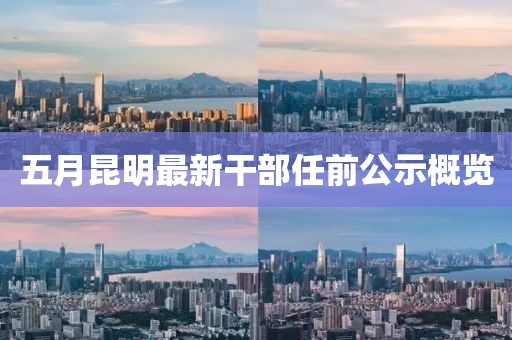 五月昆明最新干部任前公示概览