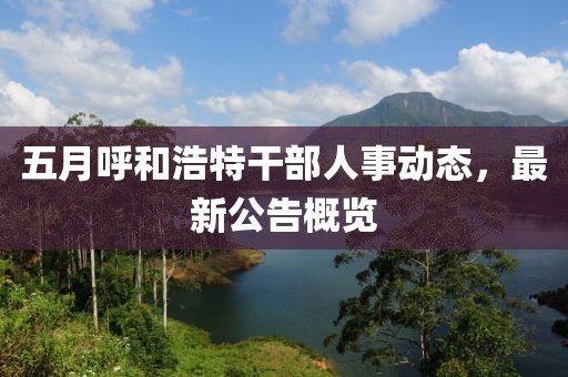 五月呼和浩特干部人事动态，最新公告概览