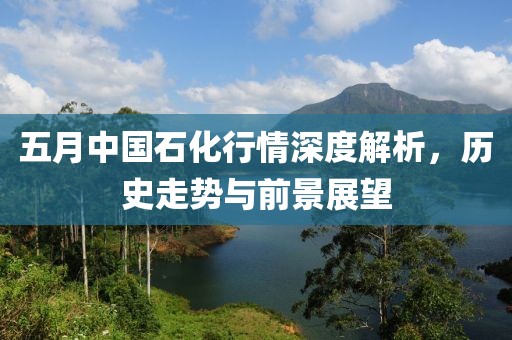 五月中国石化行情深度解析，历史走势与前景展望