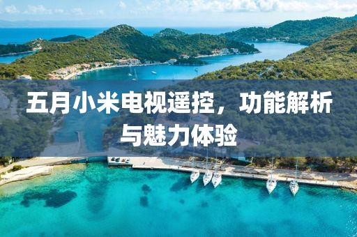 五月小米电视遥控，功能解析与魅力体验