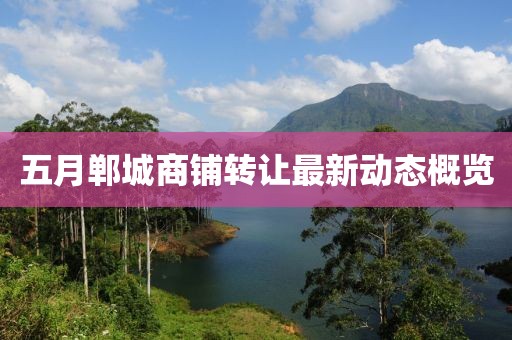 五月郸城商铺转让最新动态概览