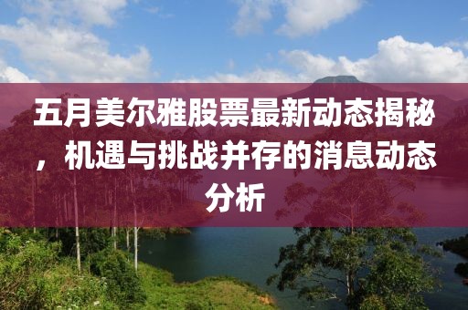 五月美尔雅股票最新动态揭秘，机遇与挑战并存的消息动态分析