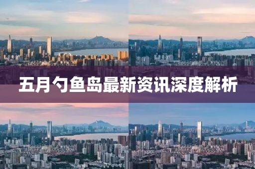 五月勺鱼岛最新资讯深度解析