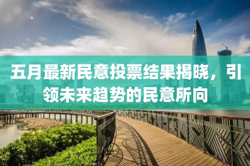 五月最新民意投票结果揭晓，引领未来趋势的民意所向