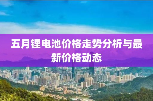 五月锂电池价格走势分析与最新价格动态