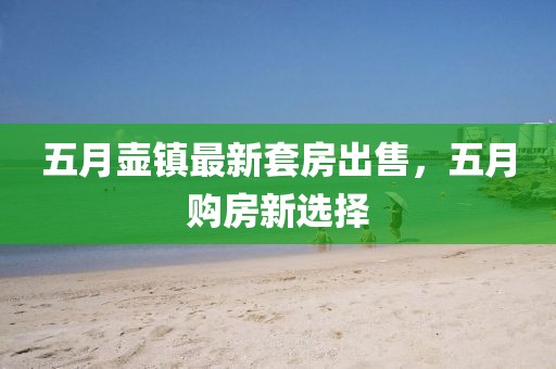 五月壶镇最新套房出售，五月购房新选择