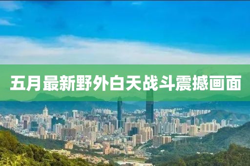 五月最新野外白天战斗震撼画面