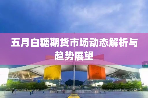 五月白糖期货市场动态解析与趋势展望