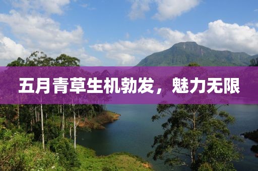 五月青草生机勃发，魅力无限