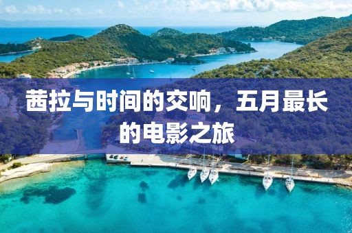 茜拉与时间的交响，五月最长的电影之旅