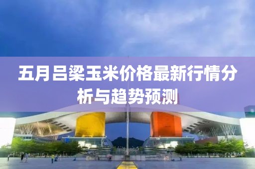 五月吕梁玉米价格最新行情分析与趋势预测