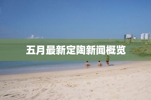 五月最新定陶新闻概览