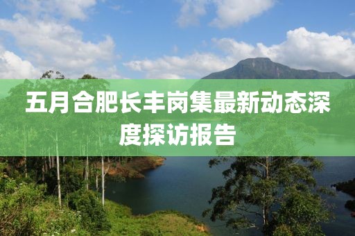 五月合肥长丰岗集最新动态深度探访报告