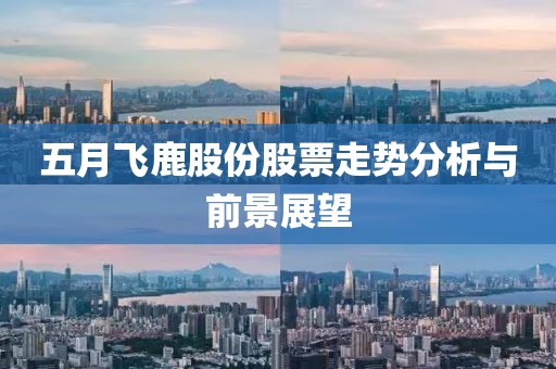 五月飞鹿股份股票走势分析与前景展望