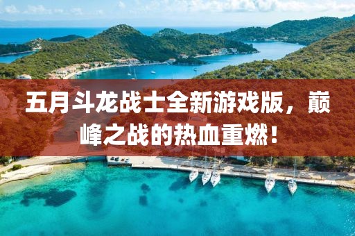 五月斗龙战士全新游戏版，巅峰之战的热血重燃！