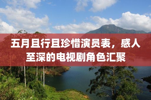 五月且行且珍惜演员表，感人至深的电视剧角色汇聚