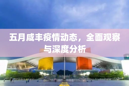 五月咸丰疫情动态，全面观察与深度分析