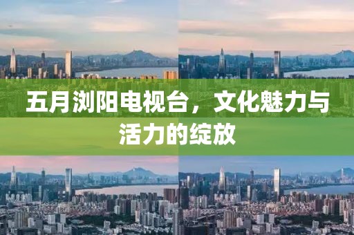 五月浏阳电视台，文化魅力与活力的绽放