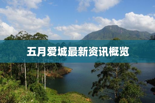 五月爱城最新资讯概览