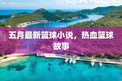 五月最新篮球小说，热血篮球故事