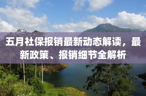 五月社保报销最新动态解读，最新政策、报销细节全解析