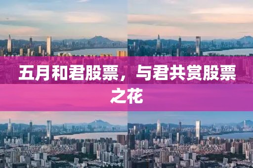 五月和君股票，与君共赏股票之花