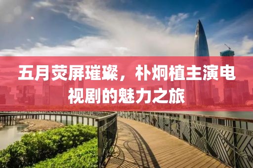 五月荧屏璀璨，朴炯植主演电视剧的魅力之旅