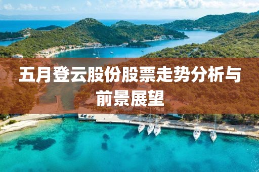 五月登云股份股票走势分析与前景展望